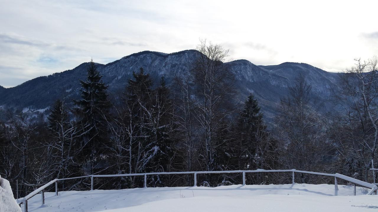 Vaznik Farm House Apartments Bled Bagian luar foto