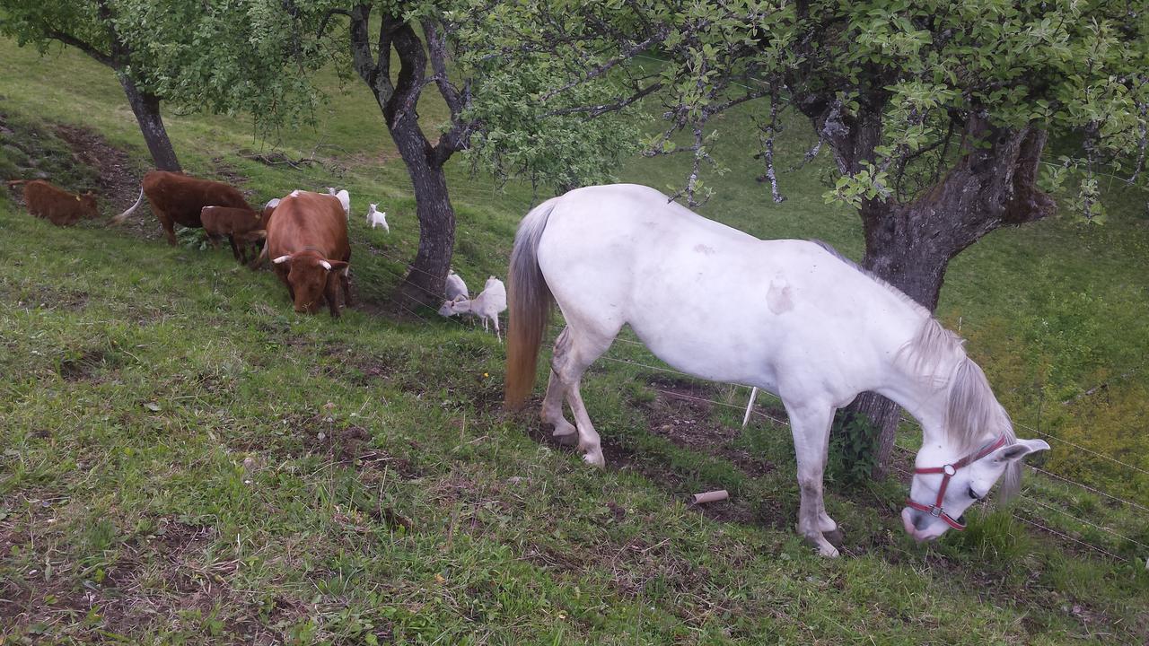 Vaznik Farm House Apartments Bled Bagian luar foto